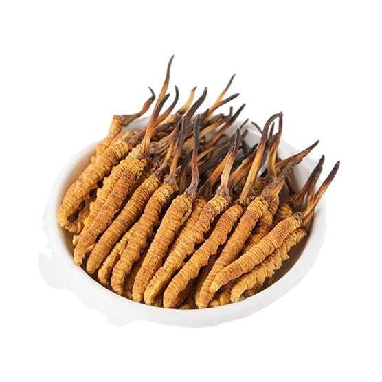 Тибетский гусеничный гриб (кордицепс) (3 г), Tibetan Keeda Jadi, MYINDIA